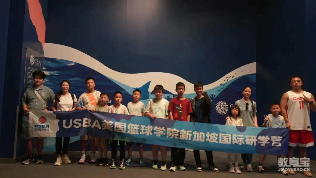 为什么互动训练有助于提高篮球比赛表现_2